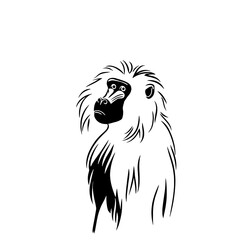 Fototapeta premium Baboon. Baboon simple black and white line art vector logo
