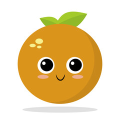 this is a vector image of an orange fruit