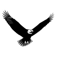 Fototapeta premium Silhouette of an eagle with its wings spread isolated on transparent background