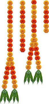 Marigold hanging design element for decoration