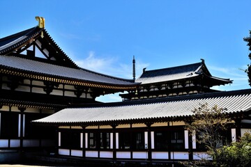 Fototapeta premium 奈良、藥師寺、佛寺、寺院、文化財、木造建築、古代建築、日本文化、歷史名勝、文化財、木、綠色、青空、写真素材 