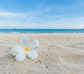 Beautiful nature sea summer background,Sand beach