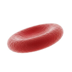 Fototapeta premium Photorealistic 3D Red Blood Cell - Medical Illustration