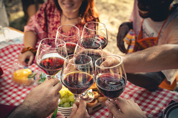 Fototapeta na wymiar Close up of friends toasting with red wine glasses at a picnic. Diverse group celebrating together outdoors, concept of friendship, community and Italian lifestyle.