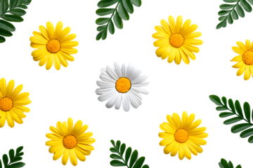 Minimalist Bright Daisy Blossom Arrangement with Leaves on Dark Background. Ai Generated Images