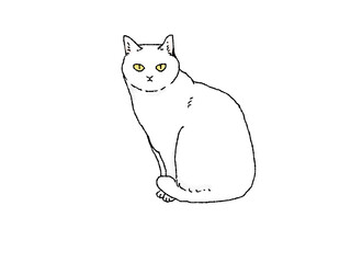 横向きに座るって正面を見る白猫のイラスト
