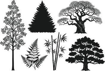 Tree and plant silhouette set, black vector illustration, bamboo, fern, evergreen, broadleaf trees, isolated nature elements, botanical clipart, editable design