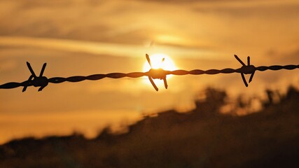 Barbed wire silhouette at sunset with warm golden light symbolizing freedom, conflict, and border...