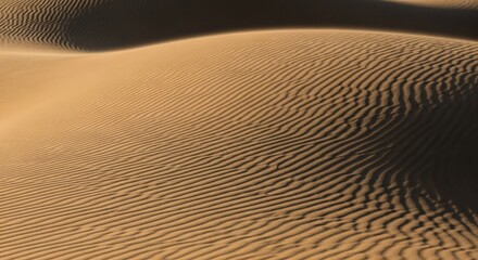 Desert Sand Dunes with Rippled Surface and Shadowed Crests in Warm Tones