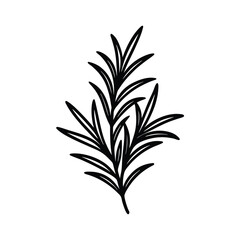 Fototapeta premium Rosemary Sprig Icon Vector Design