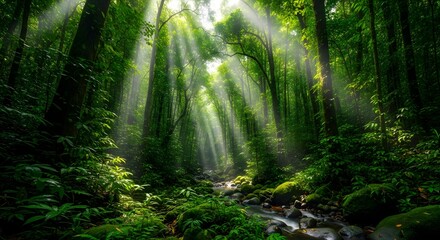 Naklejka premium Sunlight pierces through the dense canopy of a vibrant green forest, illuminating a mossy stream below.