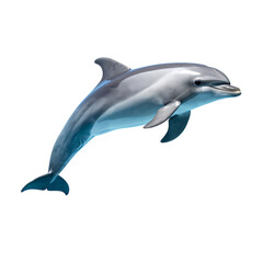 A sleek, grey dolphin leaps gracefully, its body arched, showcasing a light underside against a dark background