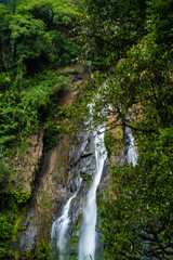 Waterfall in green tropical deep forest rainy season