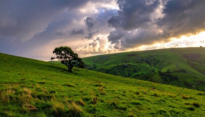 Golden light piercing through dark clouds over a breathtaking expanse of lush green hills, featuring a resilient lone tree under a vast, atmospheric sky