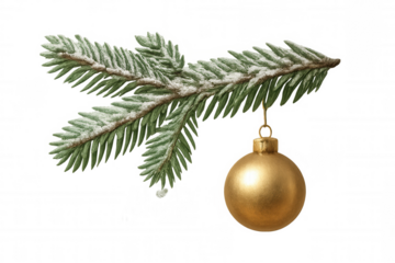 Snow covered fir branch with shiny golden christmas bauble hanging, festive holiday decoration on transparent background