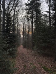 Obraz premium Nature photography Austria