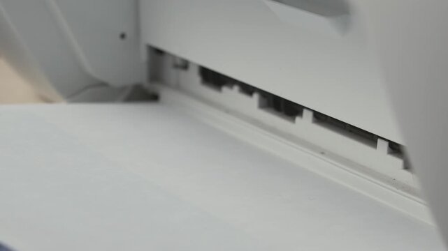 Printing H-1B visa application form, close-up