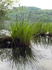 Nature photography Austria