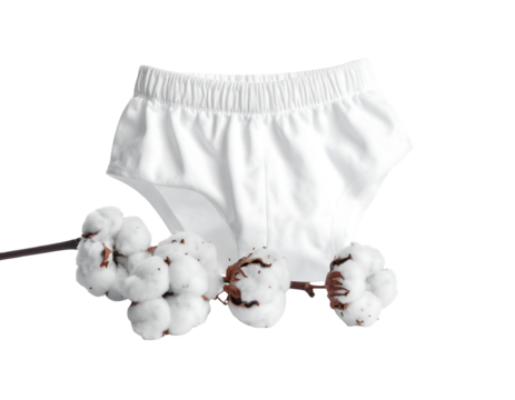 White cotton underwear rests on a branch of fluffy cotton bolls against a black background
