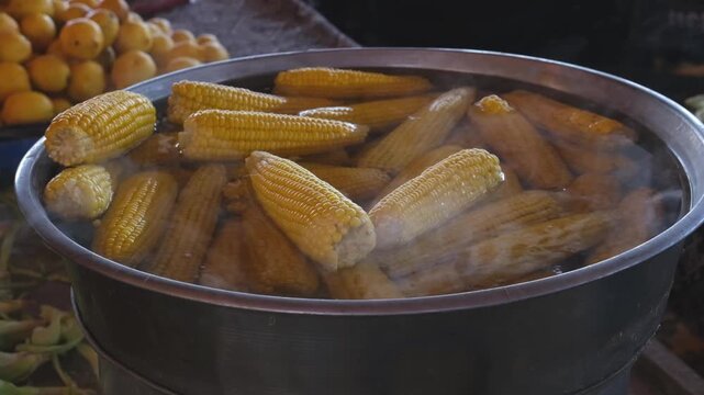 Hot sweet corn on a rustic pot. Many ears of sweet corn boil in a large vat at a farmers market for sale.
