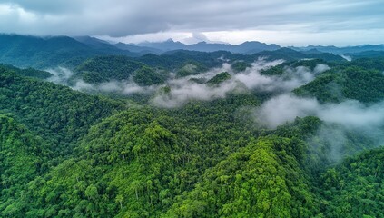 Lush green mountainous landscape shrouded in mist