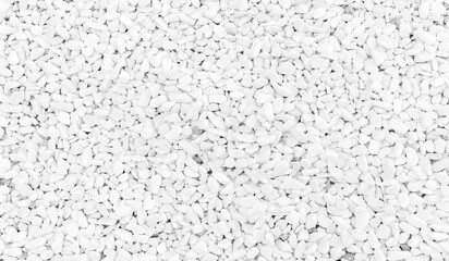 Small white pebble, top view, close-up background texture