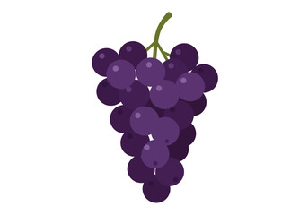 A bunch of purple grapes with light spots on white background
