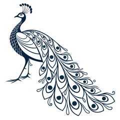 Vector art of elegant peacock illustration, showcasing intricate line work and graceful curves, perfect for adding a touch of sophistication to any design project or creative endeavor