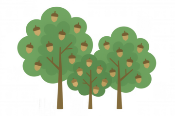 Oak trees producing abundant acorns, illustrating growth and nature on transparent background