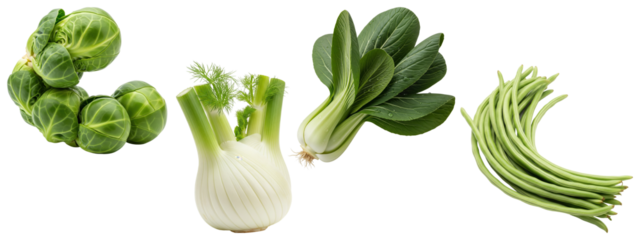 A collection of fresh green vegetables including Brussels sprouts, fennel, bok Choy, and long beans.