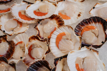 Fresh scallops displayed on ice with open shells at a seafood market, highlighting natural textures, ocean produce, and culinary ingredients commonly used in Mediterranean cuisine