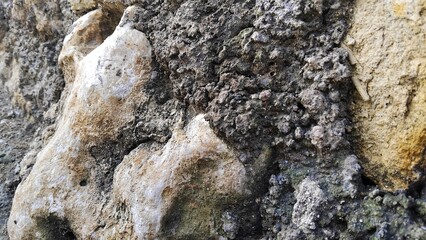 Stone of the universe 