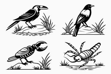 Obraz premium collection of birds