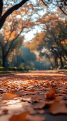 Autumn pathway covered with fallen leaves. Scenic view of nature in fall.