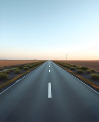 Fototapeta premium A tranquil scene showing an unobstructed road leading towards the distant horizon between golden fields