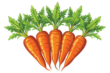 Five vibrant orange carrots with lush green leafy tops are placed closely together