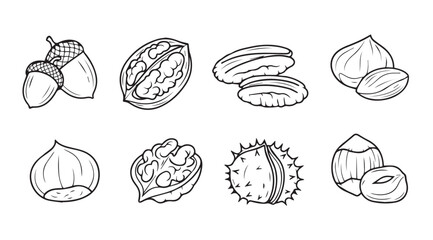 Collection of various nuts and seeds in a sketchy silhouette style