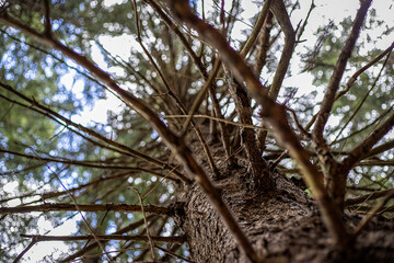  Autunno Riserva Naturale di Pian di Gembro