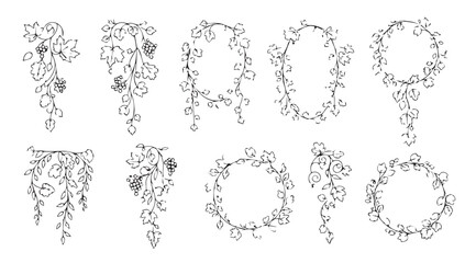 Elegant floral ornaments and frames in a delicate silhouette style