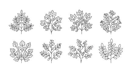 Collection of ornate botanical branch silhouettes with delicate leafy details