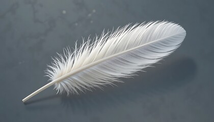 Single white feather on a dark background
