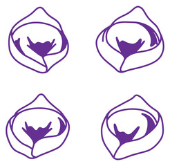 Purple simplified floral outline pattern elements isolated on a white background