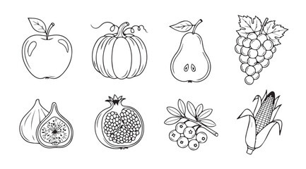 Collection of hand drawn fruit and vegetable silhouettes in outline style