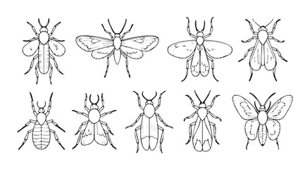 Collection of intricate insect illustrations in a distinctive silhouette style