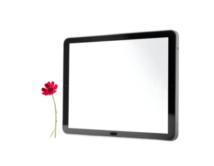 A single red poppy stands beside a blank, black-framed tablet on a dark background