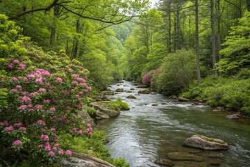 Obraz premium New Spring Green on the Little River in Smoky Mountains