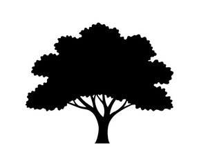 Silhouette of an oak tree in PNG format