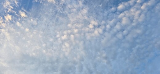 Fototapeta premium blue sky background