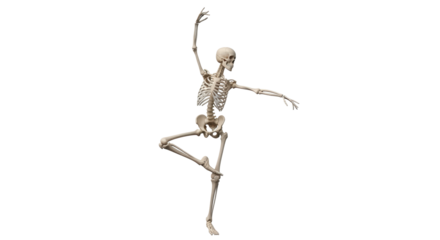 Isolated skeleton in ballet pose, an anatomy skeleton dancing elegantly and theatrically