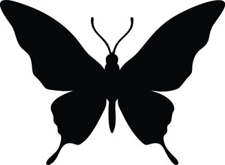 Black Silhouette of a Butterfly on a White Background
